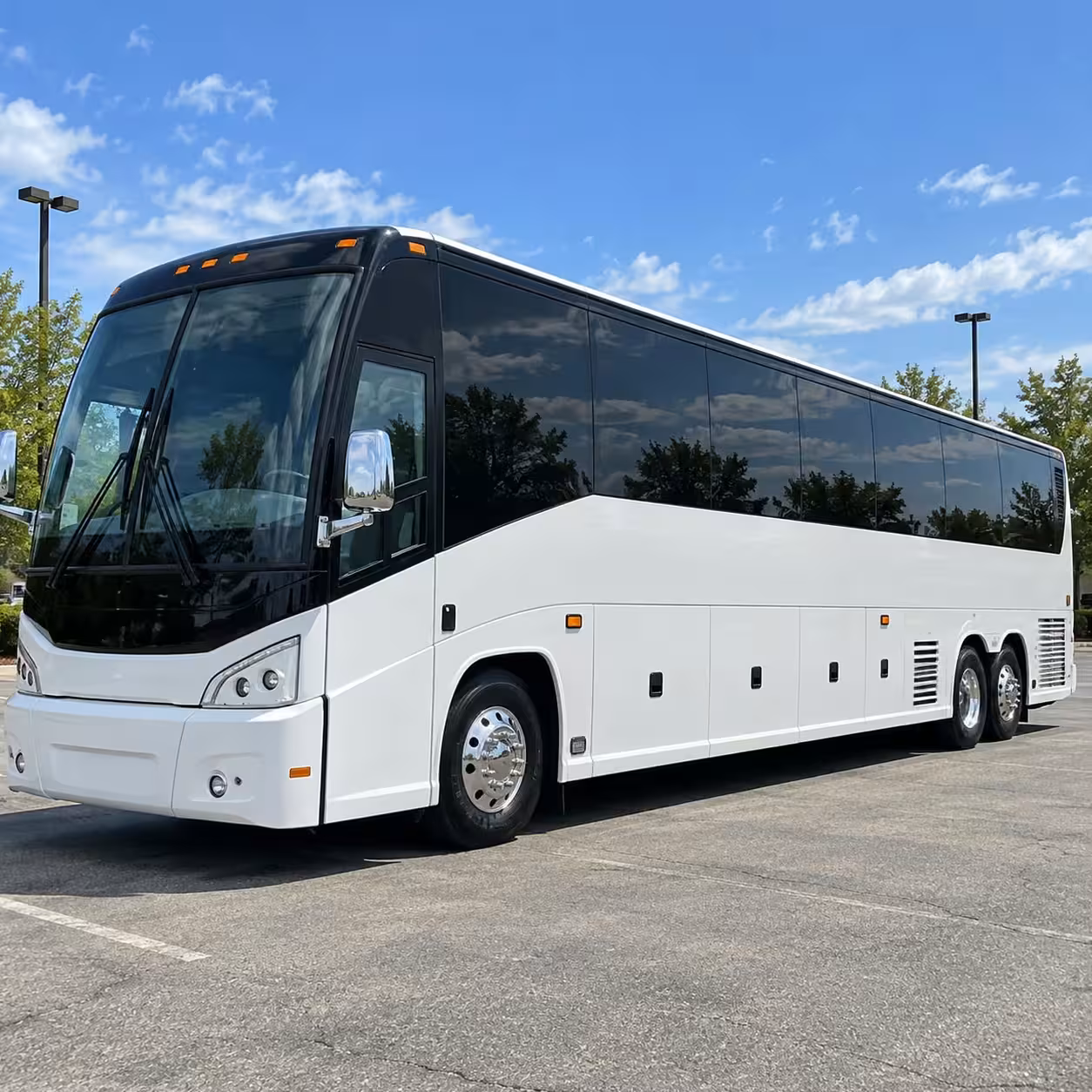 greenville charter buses for large prom groups and whole grades