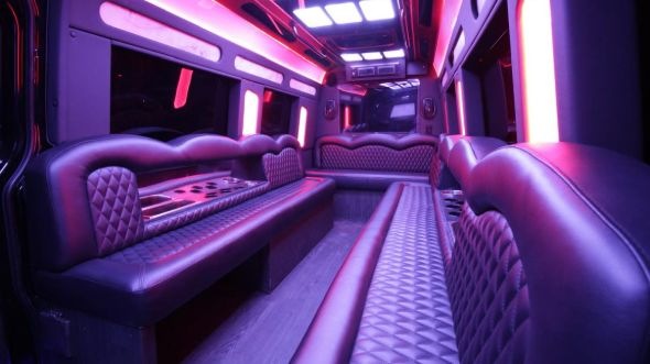 greenville sprinter limo rental rental